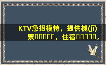 KTV急招模特，提供機(jī)票，住宿，日結(jié)